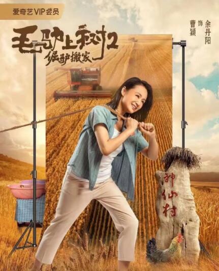 免费在线观看一区二区