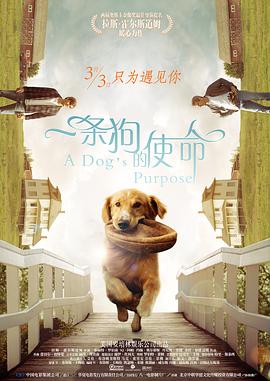 久9视频这里只有精品