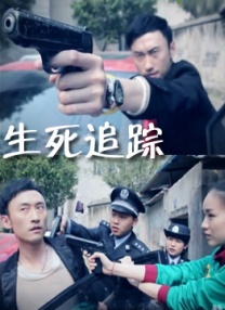 加勒比导航