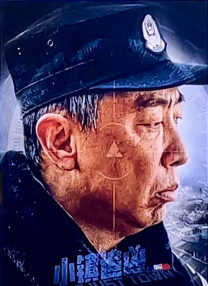国内精品久久久久久